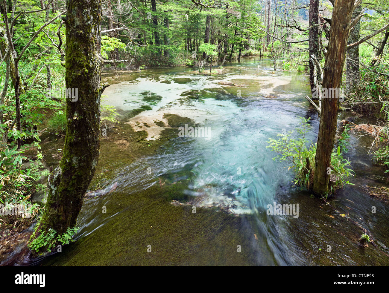 The natural spring fed streams of Kamikochi National Park, Japan Stock Photo