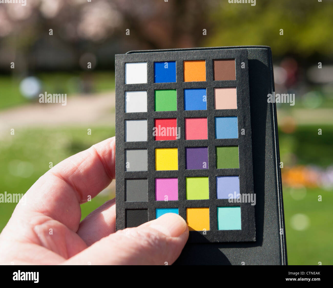 Hand holding a photographic color rendition chart Stock Photo
