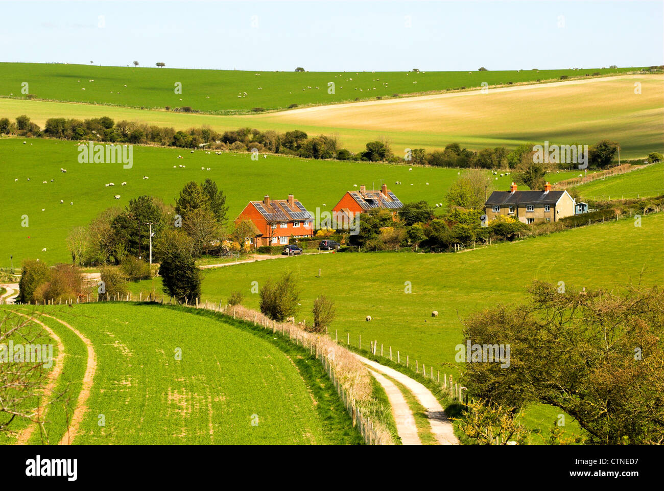 Farm buildings and housing in the South Downs National Park in West