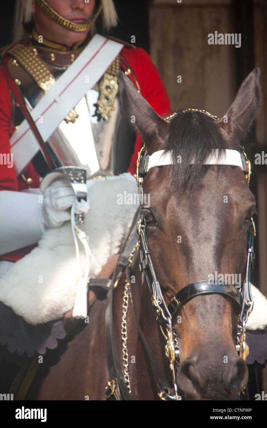 Changing of the Guard Close-up of trooper on horse Horse Guards Parade London England UK Stock Photo