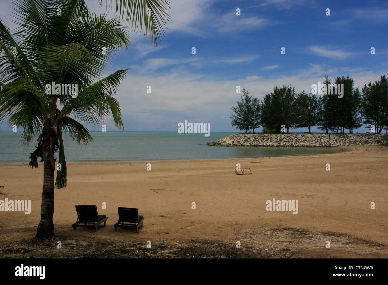 Sandy beach with sun chairs and palm trees Stock Photo - Alamy