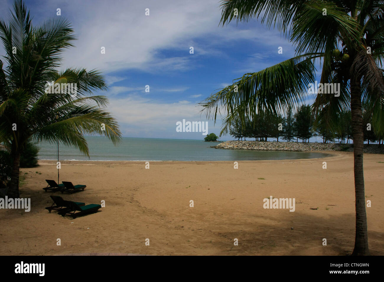 Sandy beach with sun chairs and palm trees Stock Photo - Alamy