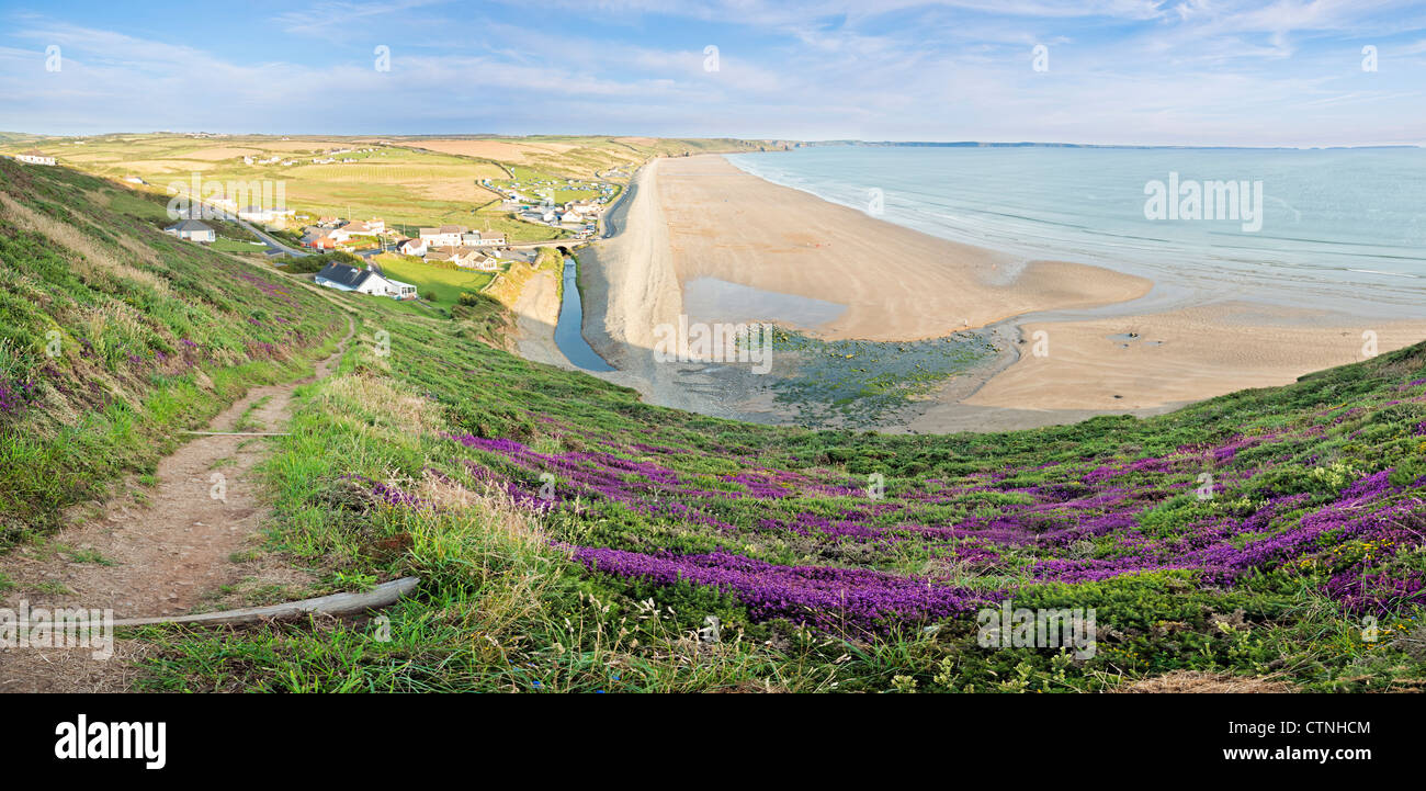 View over bell heather to Newgale and St Bride's Bay, Pembrokeshire, Wales Stock Photo