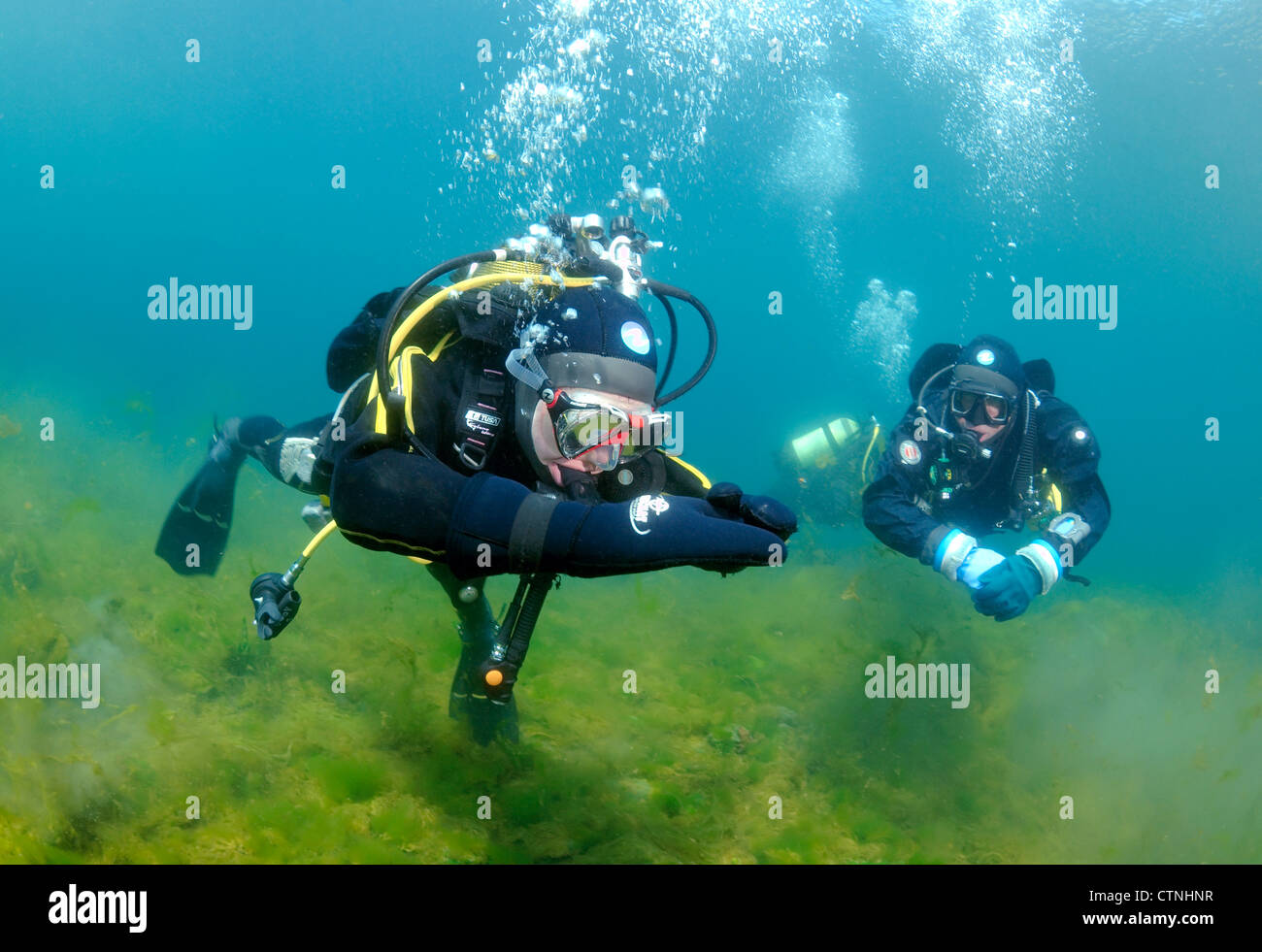 Diving the instructor trains beginning scuba diver to hold neutral