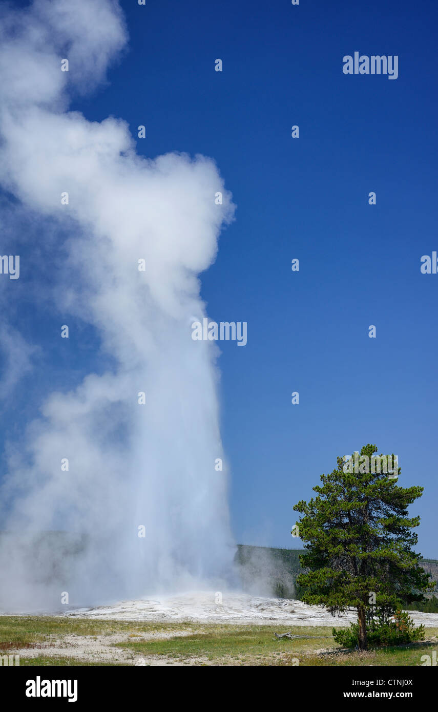 Old Faithful cone geyser in Upper Geyser Basin, Yellowstone National