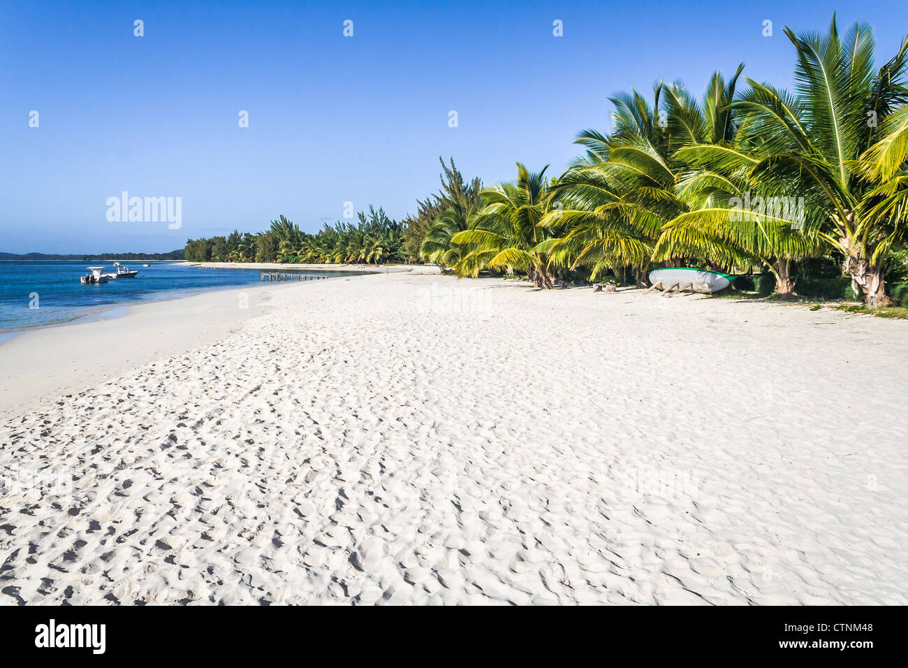 Beautiful sandy beach with coconut palm trees Stock Photo - Alamy