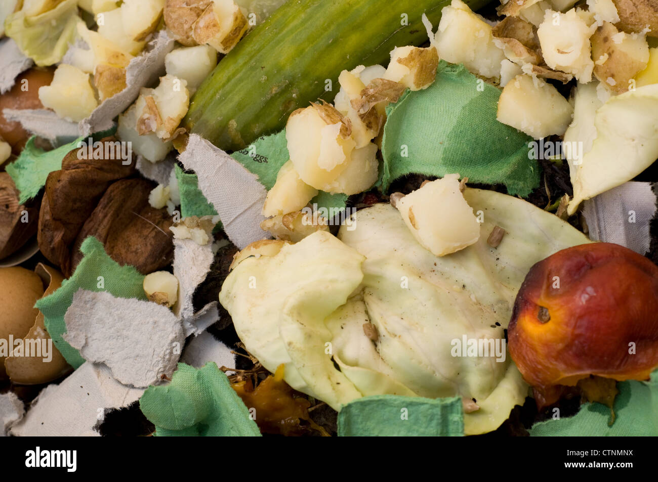 kitchen waste in a worm digester to make compost Stock Photo - Alamy