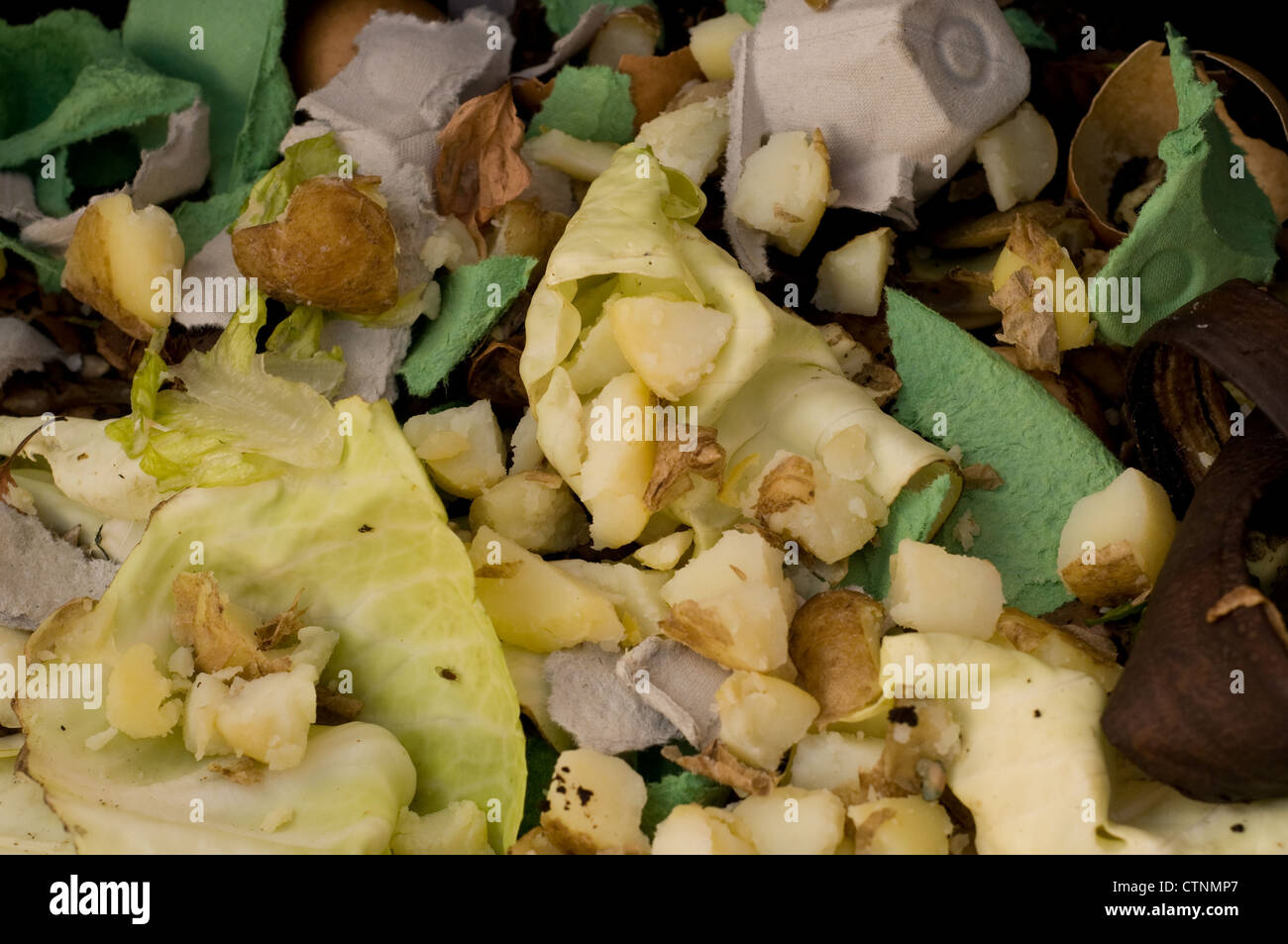 kitchen waste in a worm digester to make compost Stock Photo Alamy