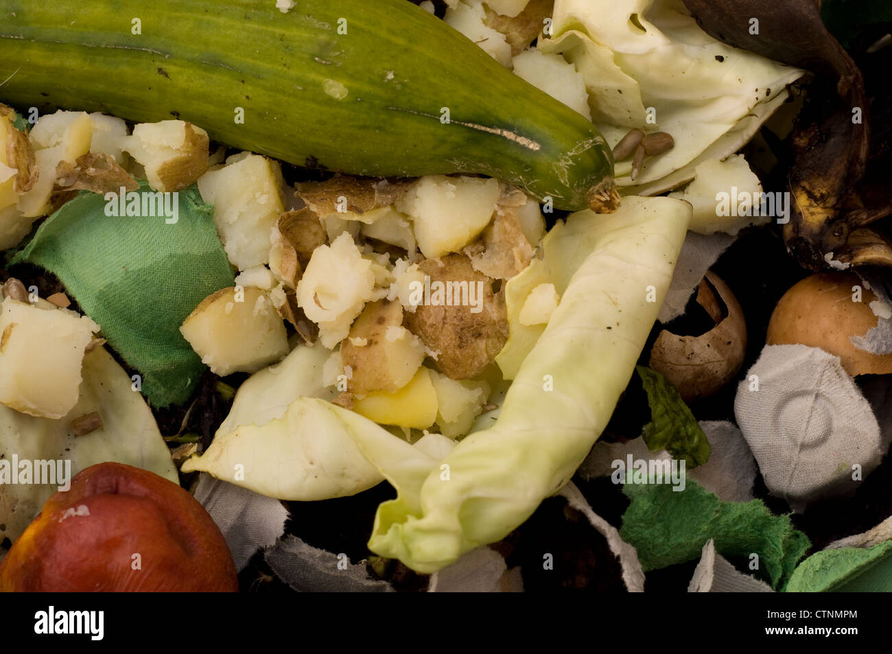 kitchen waste in a worm digester to make compost Stock Photo Alamy