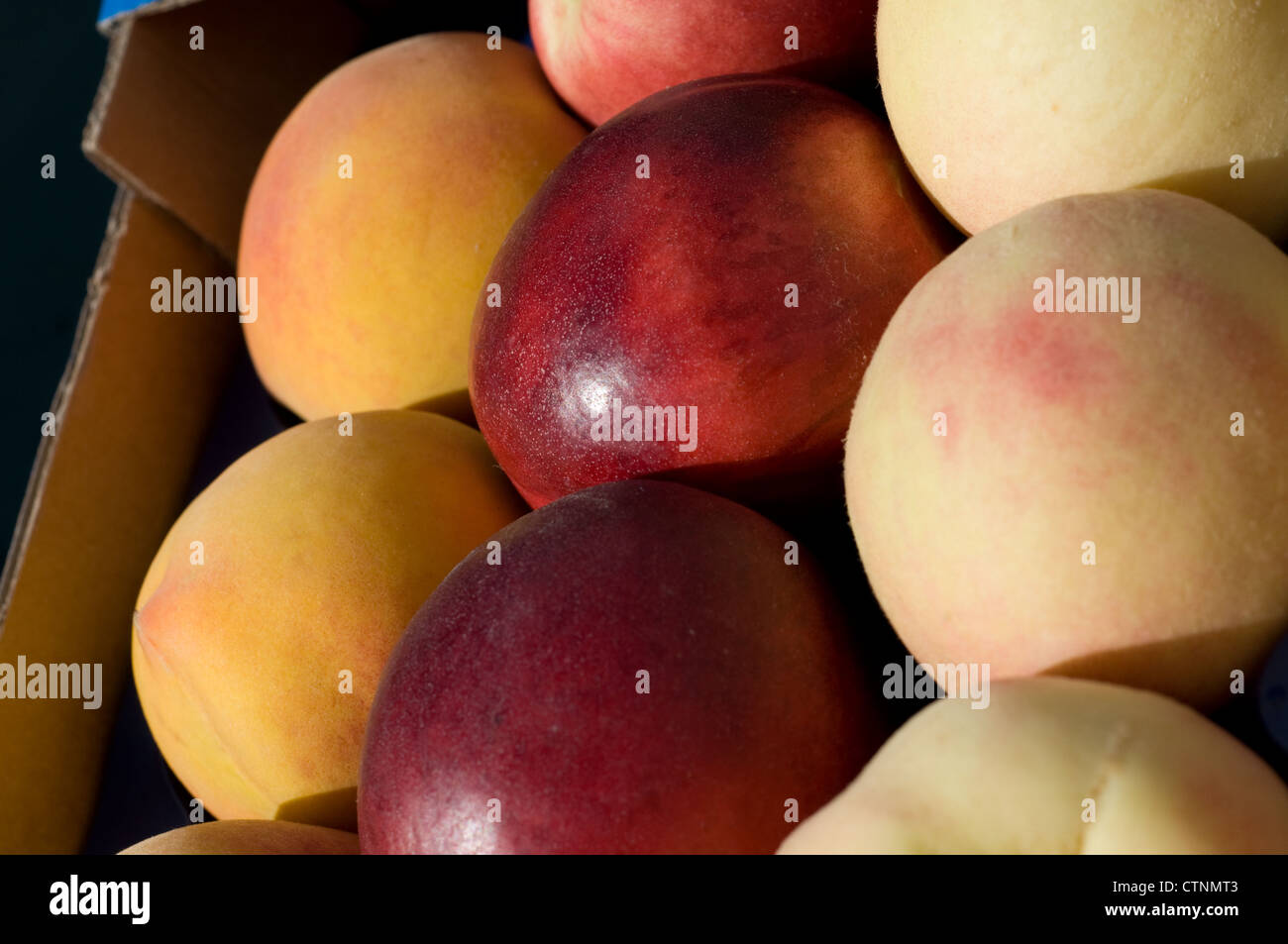 Box of peaches Stock Photo Alamy