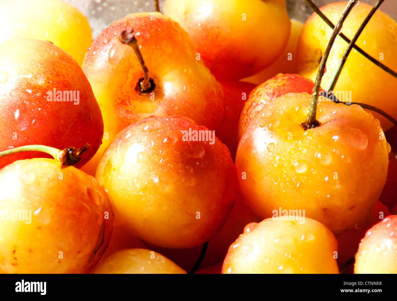 Bunch of yellow and red Rainier cherries isolated on white background with copy space. Stock Photo