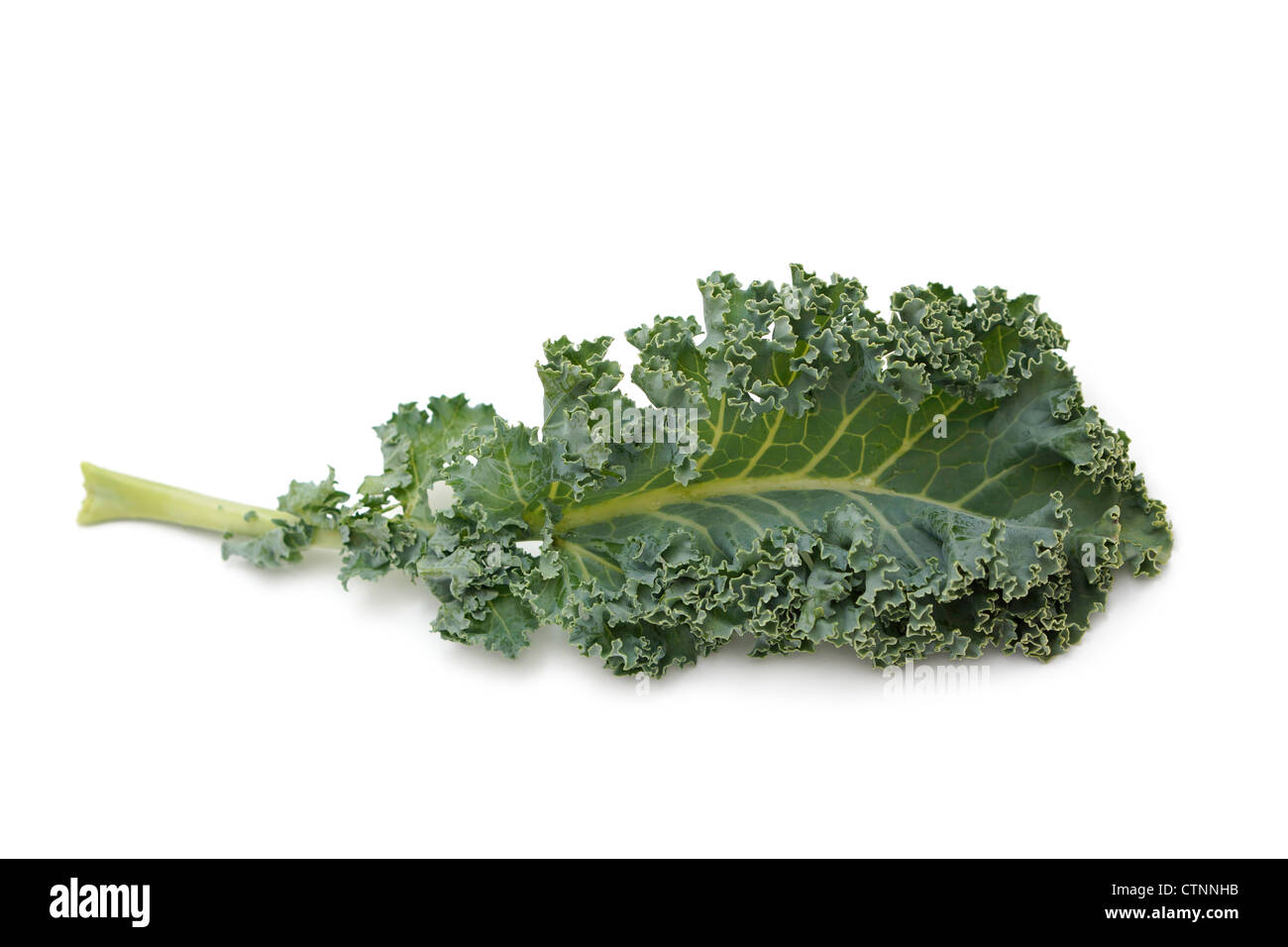 Kale Stock Photo