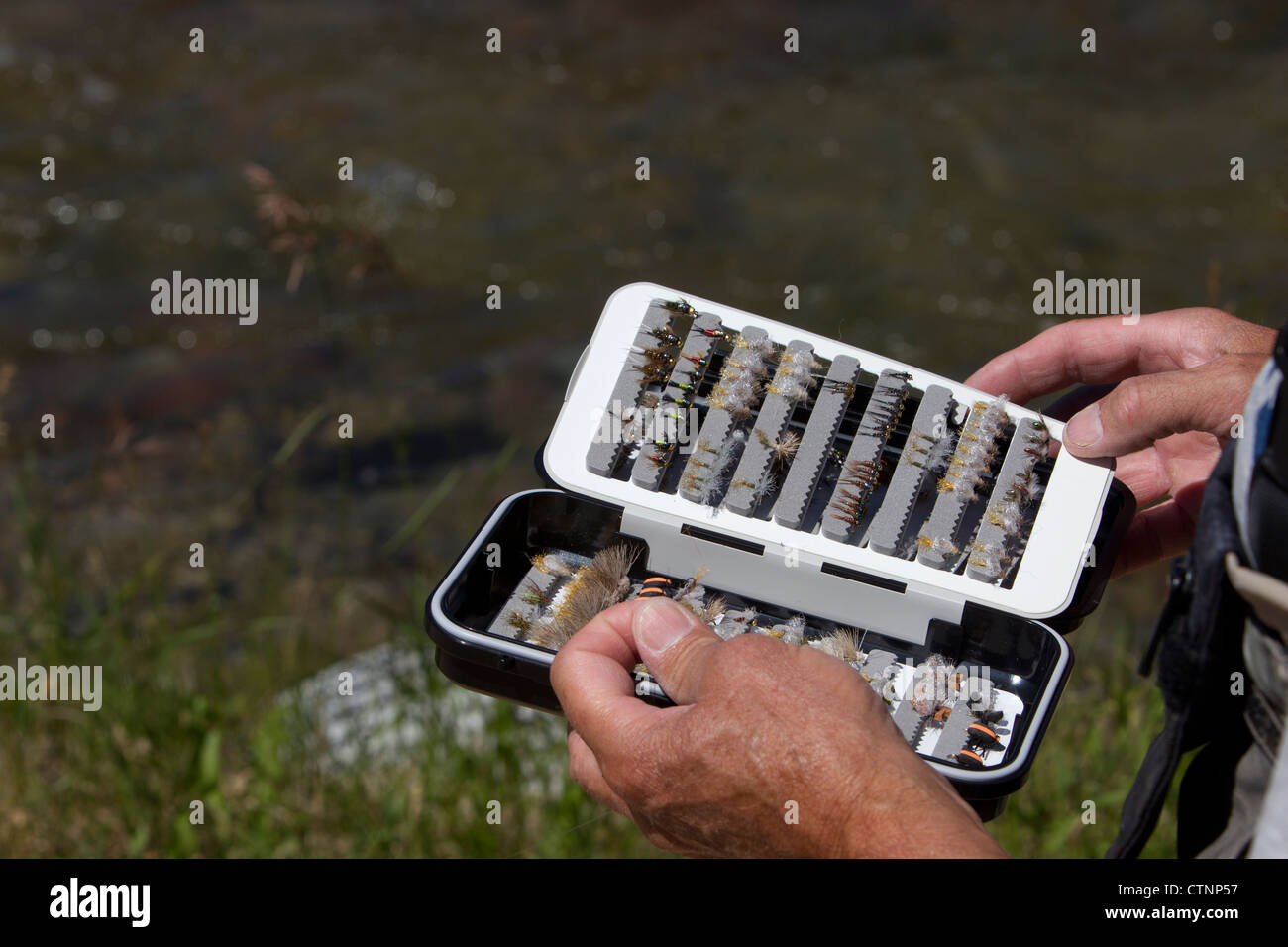 Lots of choice in this fly box. Stock Photo
