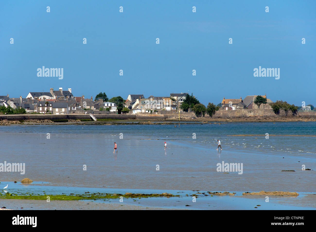Beach St Vaast la Hougue Cherbourg Peninsular Normandy France Stock