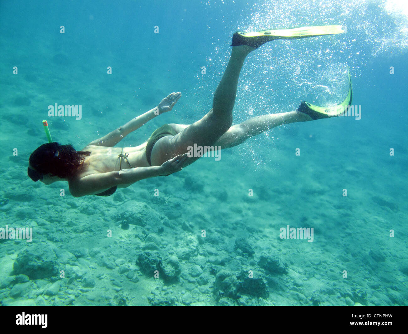 Scuba diving girl in bikini hires stock photography and images Alamy