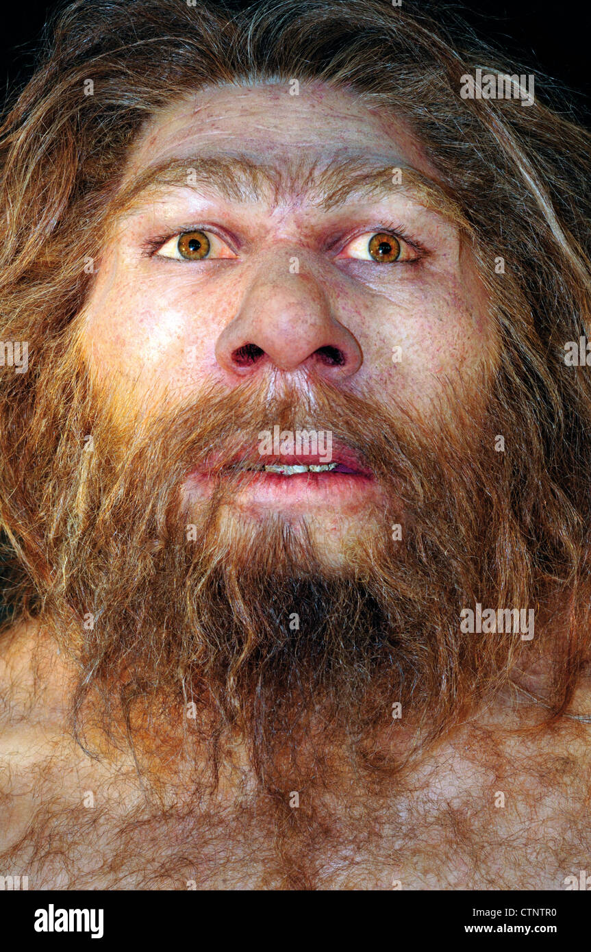 Spain, Burgos: Reproduction of a  male Homo neanderthalensis in the Museum of Human Evolution Stock Photo