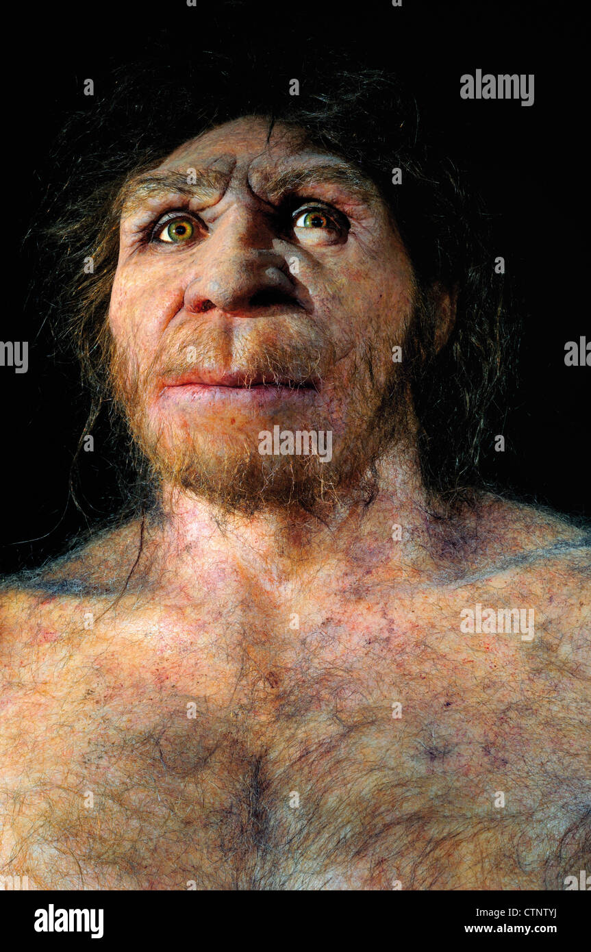 Spain, Burgos: Reproduction of a  male Homo heidelbergensis in the Museum of Human Evolution Stock Photo
