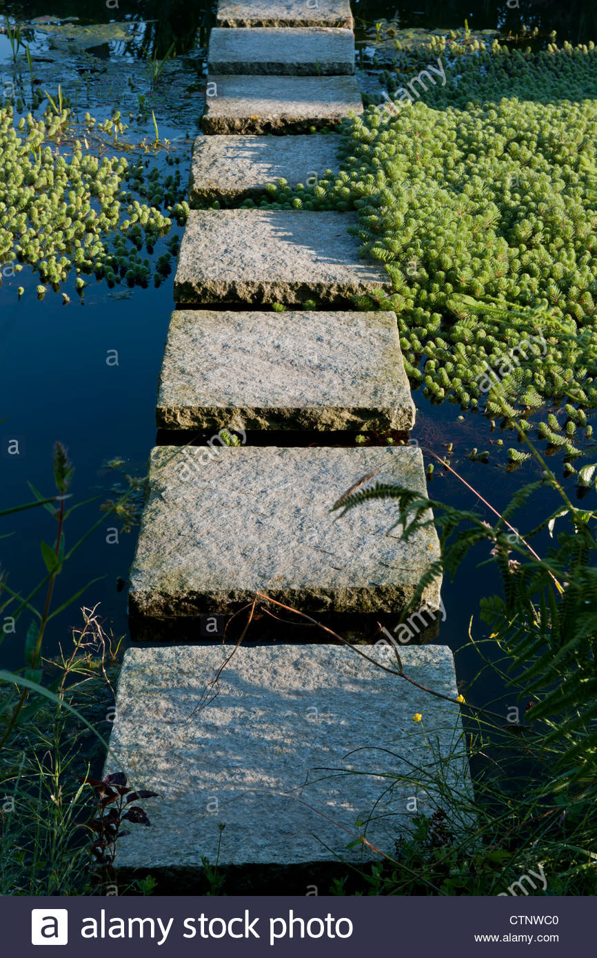 Stone Path In Water Stepping Stone Path Over Water