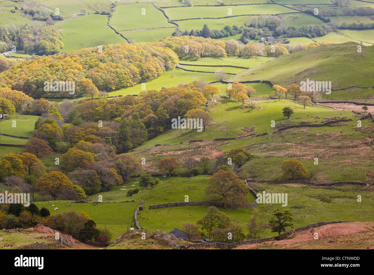 Typical Lake District landscape from the Dunnerdale Fells in Cumbria. Stock Photo