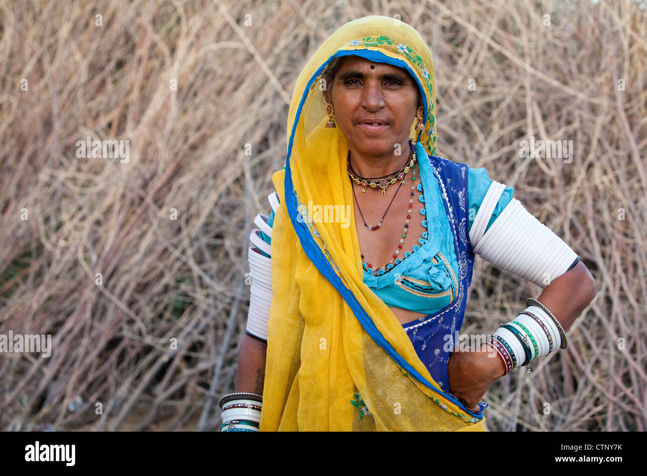 Indian woman from shepherd caste in rural Rajasthan Stock Photo