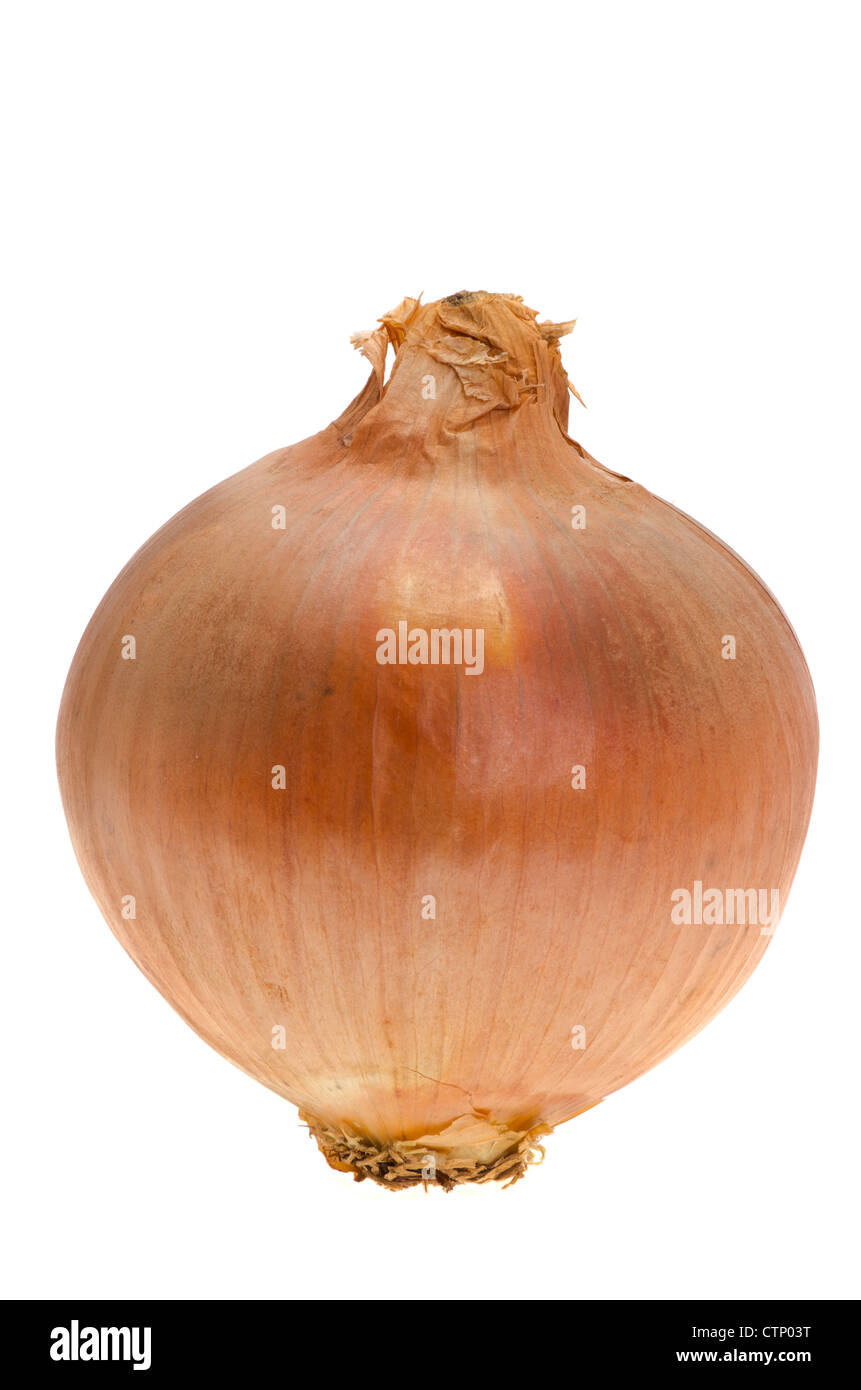 Fresh whole unpeeled onion - studio shot with a white background Stock Photo