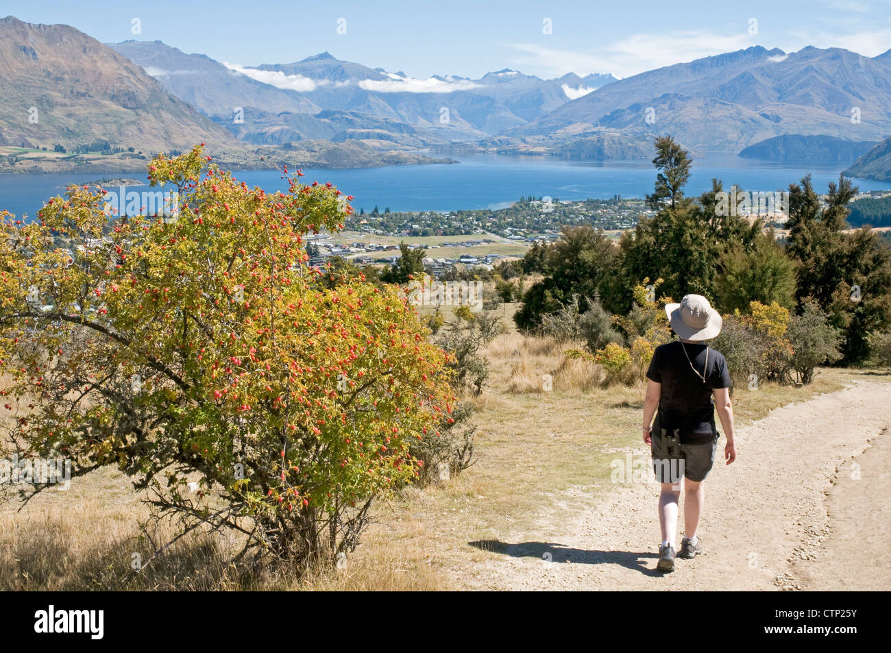 Impressive panoramic view of  Wanaka, the Lake and distant mountains from the nearby peak of Mount Iron. Stock Photo