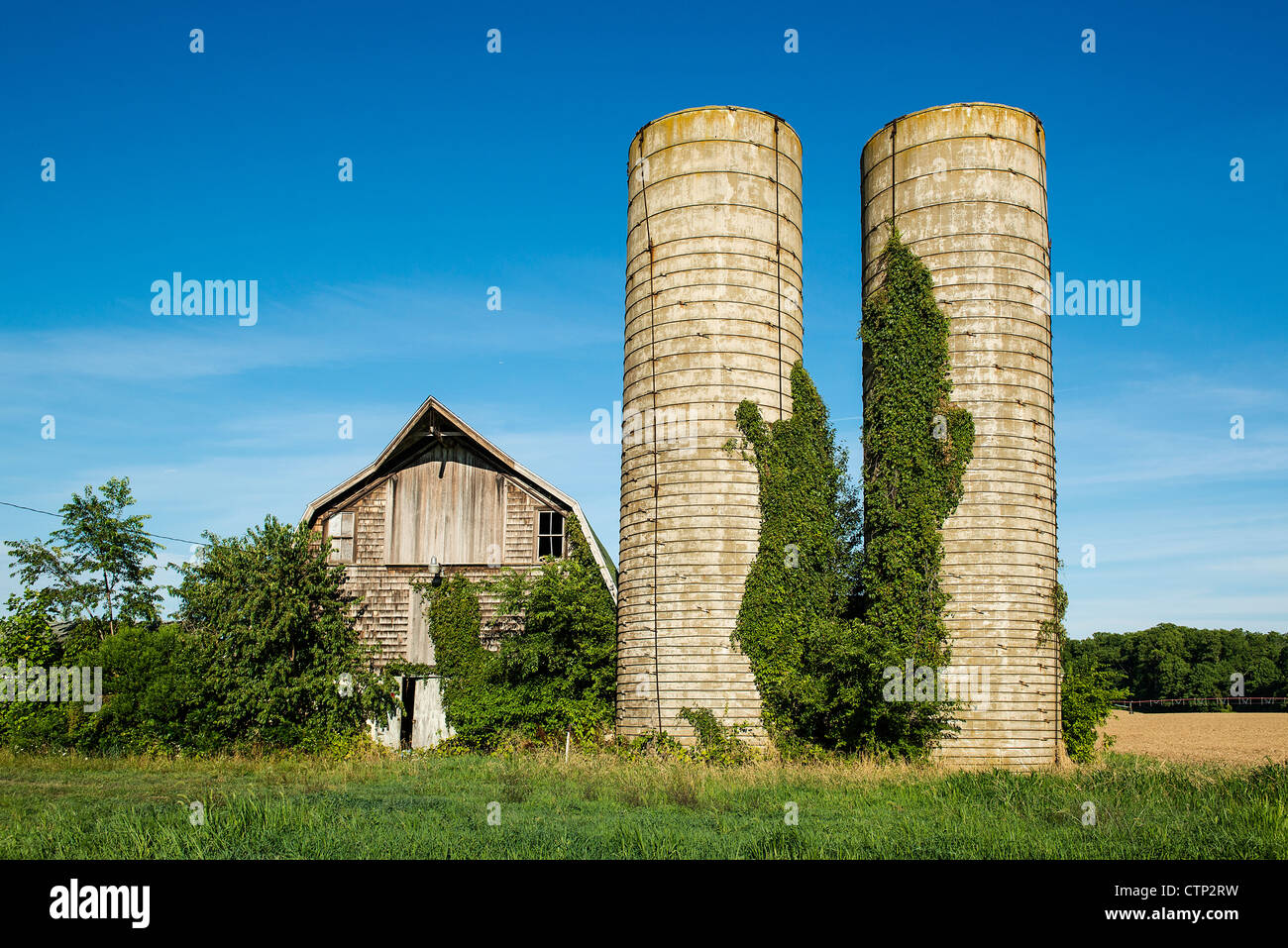 Neglected barn and silos, Delaware, USA Stock Photo