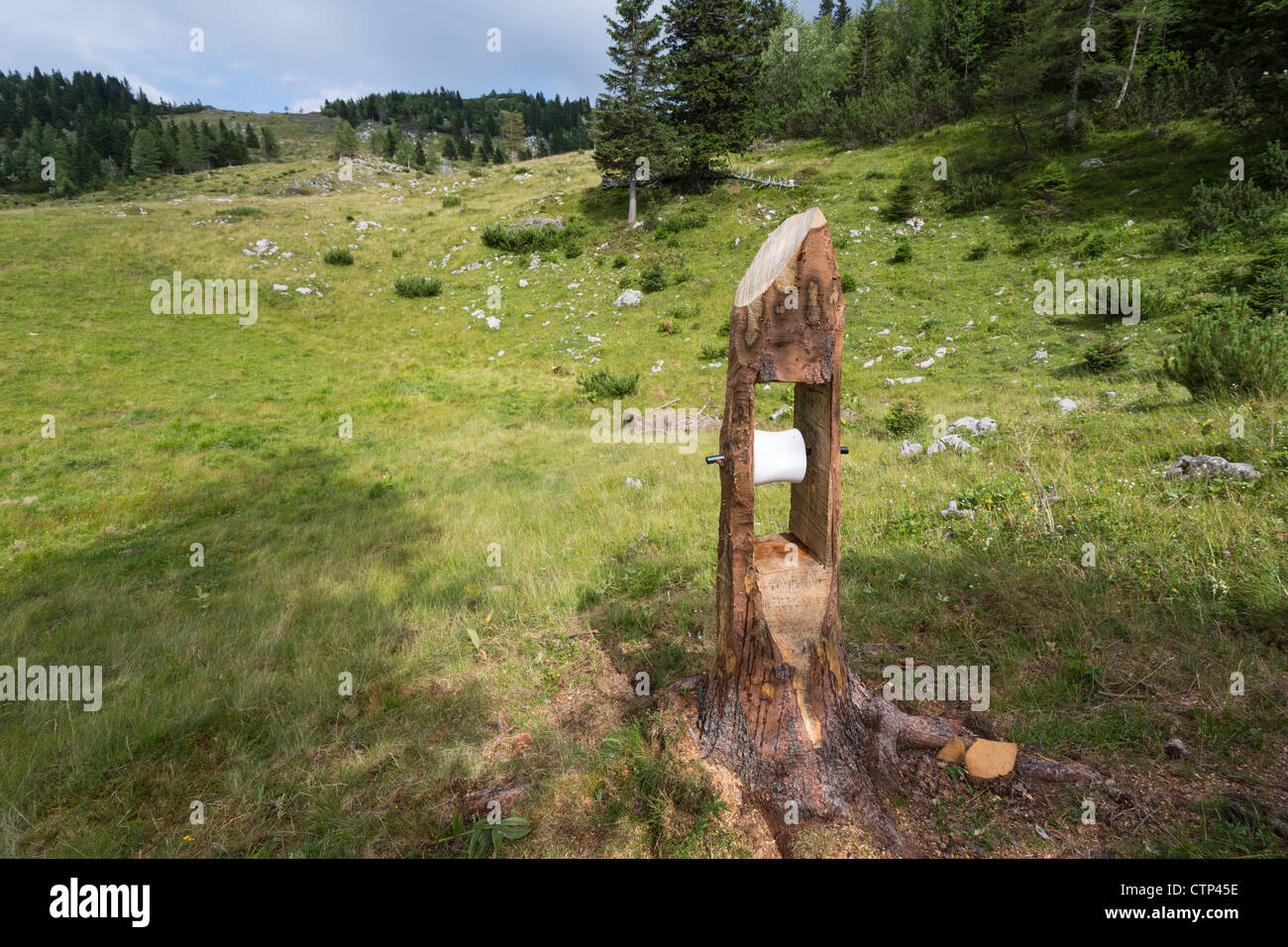 A 'salt lick' fashioned out of a tree stump for wildlife management in the Kamnik Alps of Slovenia. Stock Photo