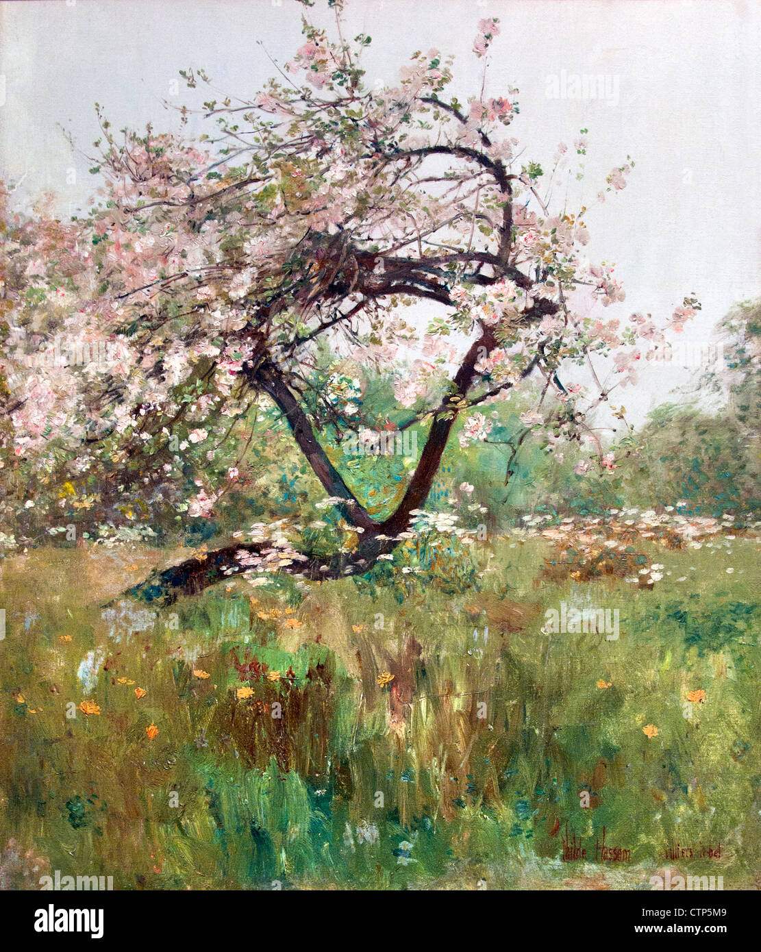 Peach Blossoms Villiers le Bel 1887 Childe Hassam American United States of America Stock Photo