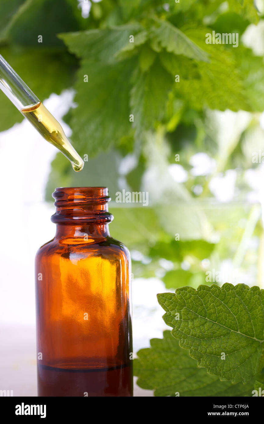 Herbal medicine hires stock photography and images Alamy