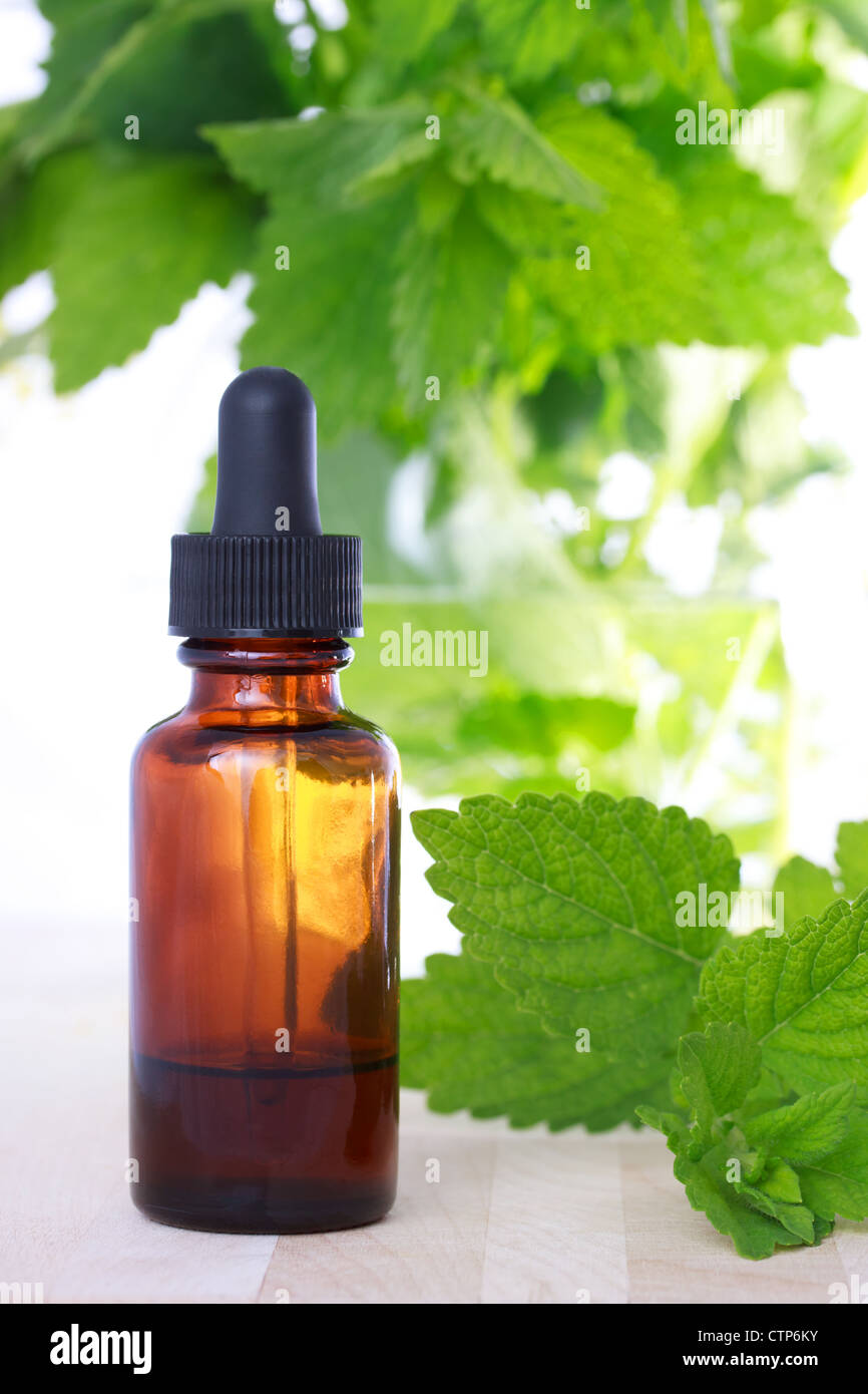 Herbal medicine with dropper bottle and mint leaves Stock Photo Alamy