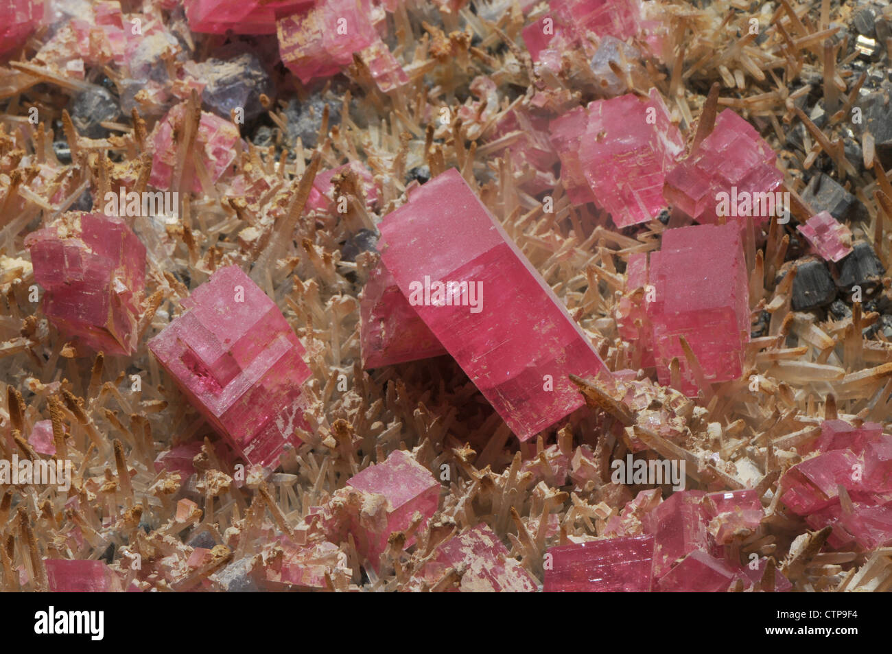 Rhodochrosite, a manganese carbonate mineral Stock Photo