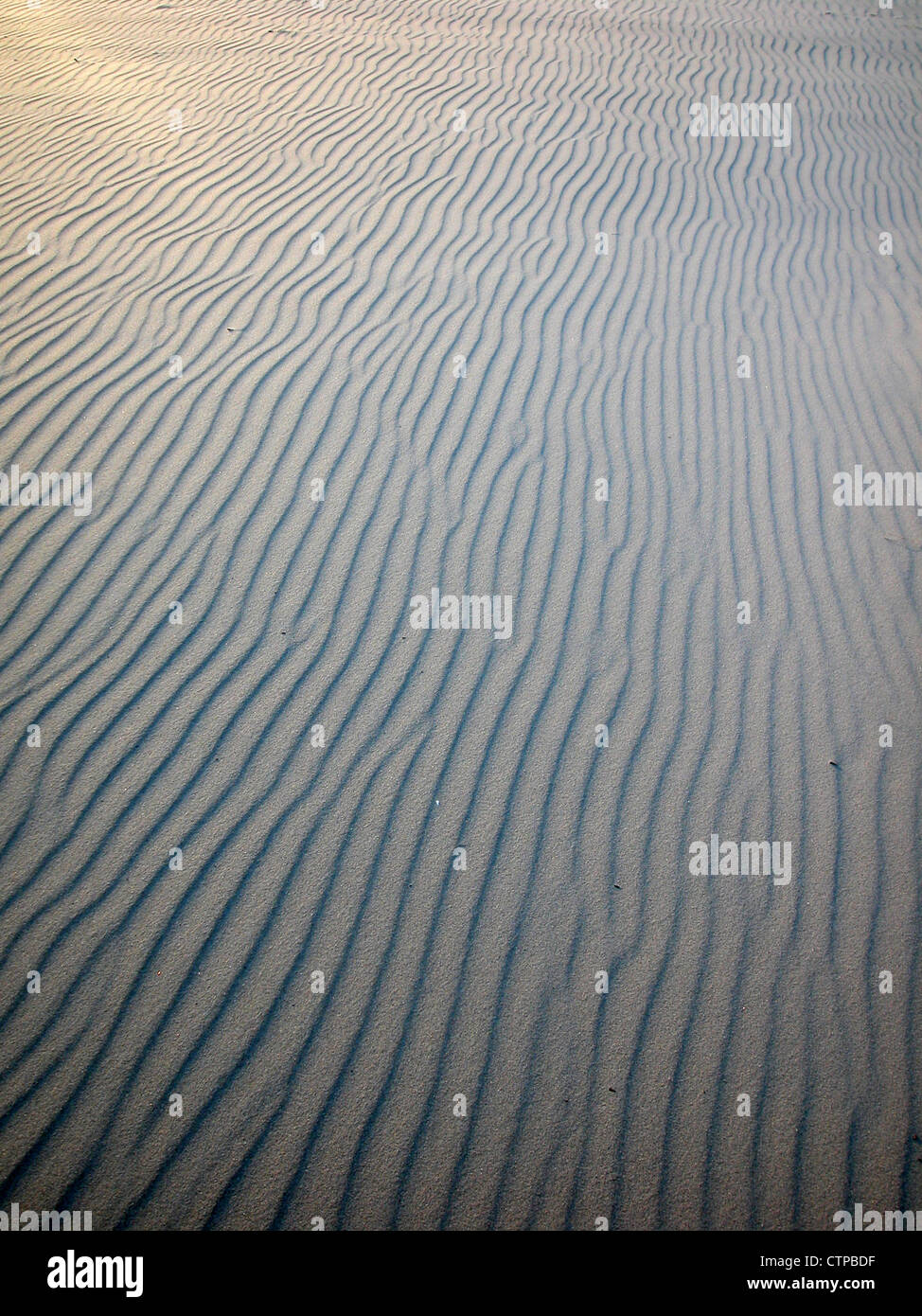 sand dune ripples on a beach Stock Photo