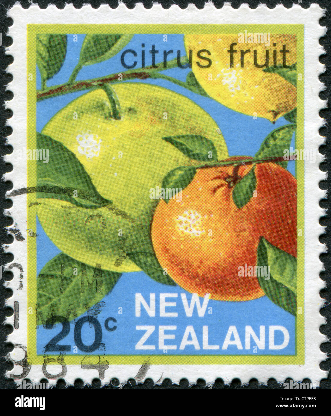 NEW ZEALAND - CIRCA 1983: Postage stamps printed in New Zealand, shows Pomelo and Orange, circa 1983 Stock Photo