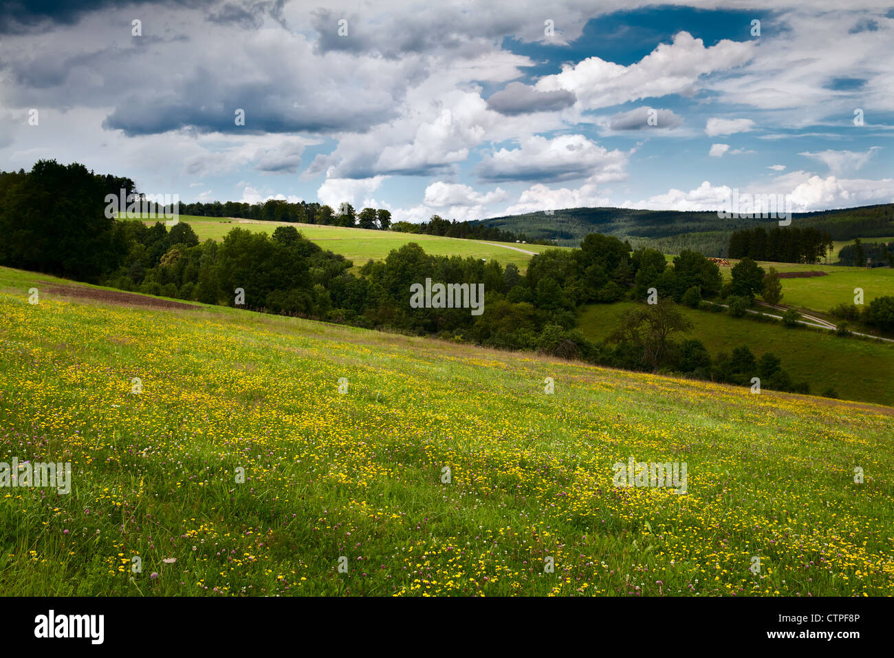 summer flowering meadows in mountains in Burgsinn, Germany Stock Photo