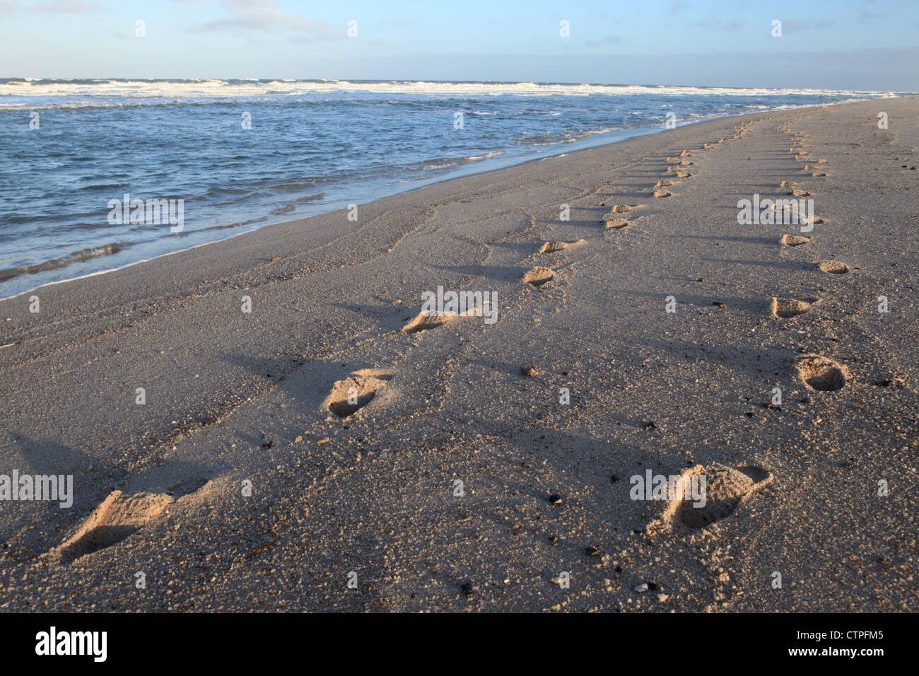 Lonelyness on Sylt Stock Photo