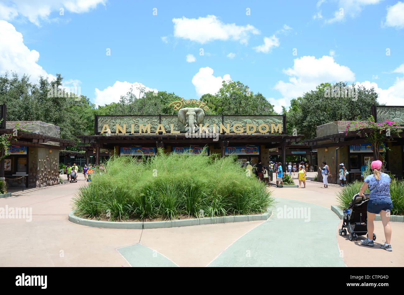 Entrance to Disney's Animal Kingdom Orlando Florida Stock Photo Alamy