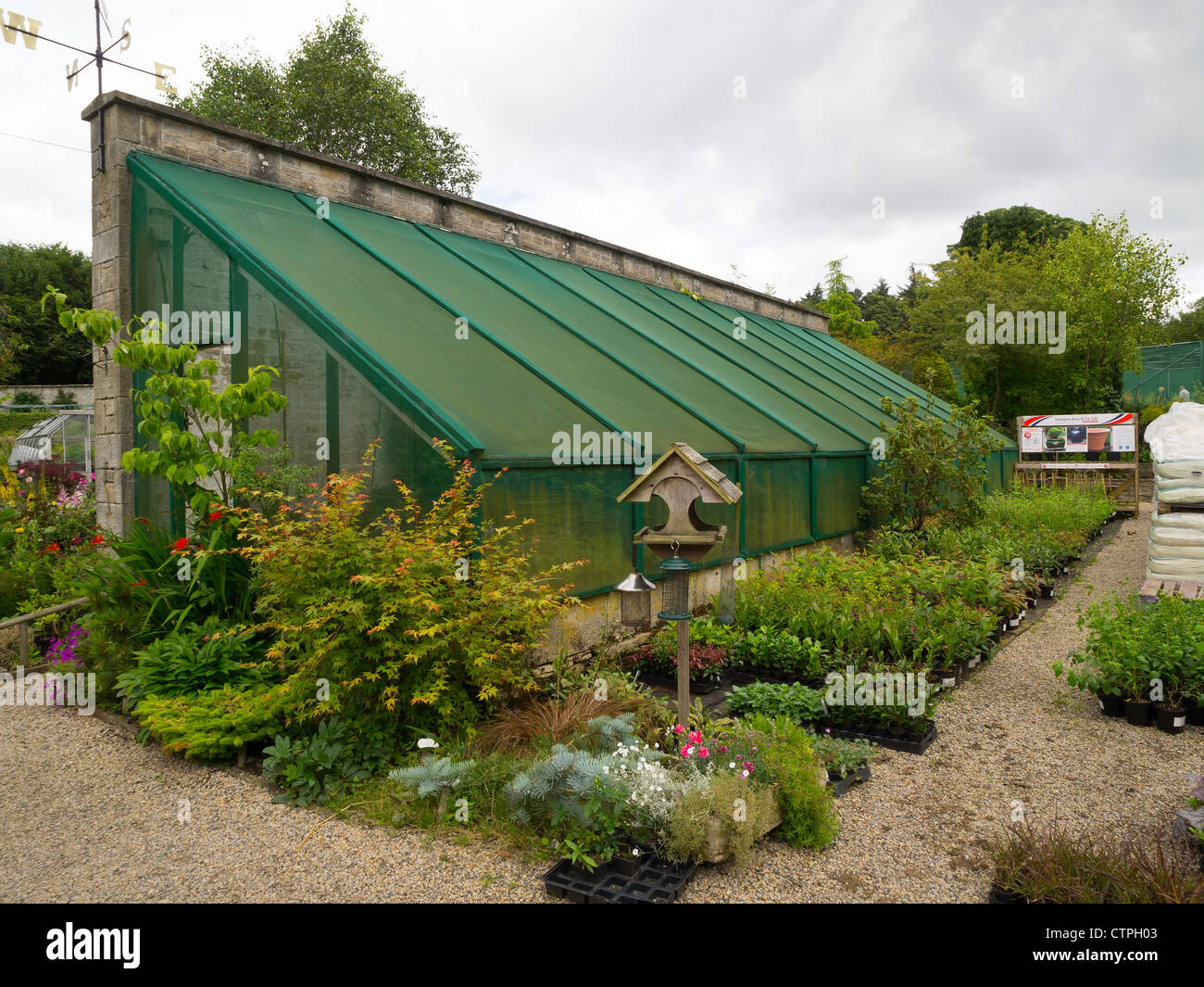 A greenhouse for growing Hostas in the garden centre at Eggleston Hall