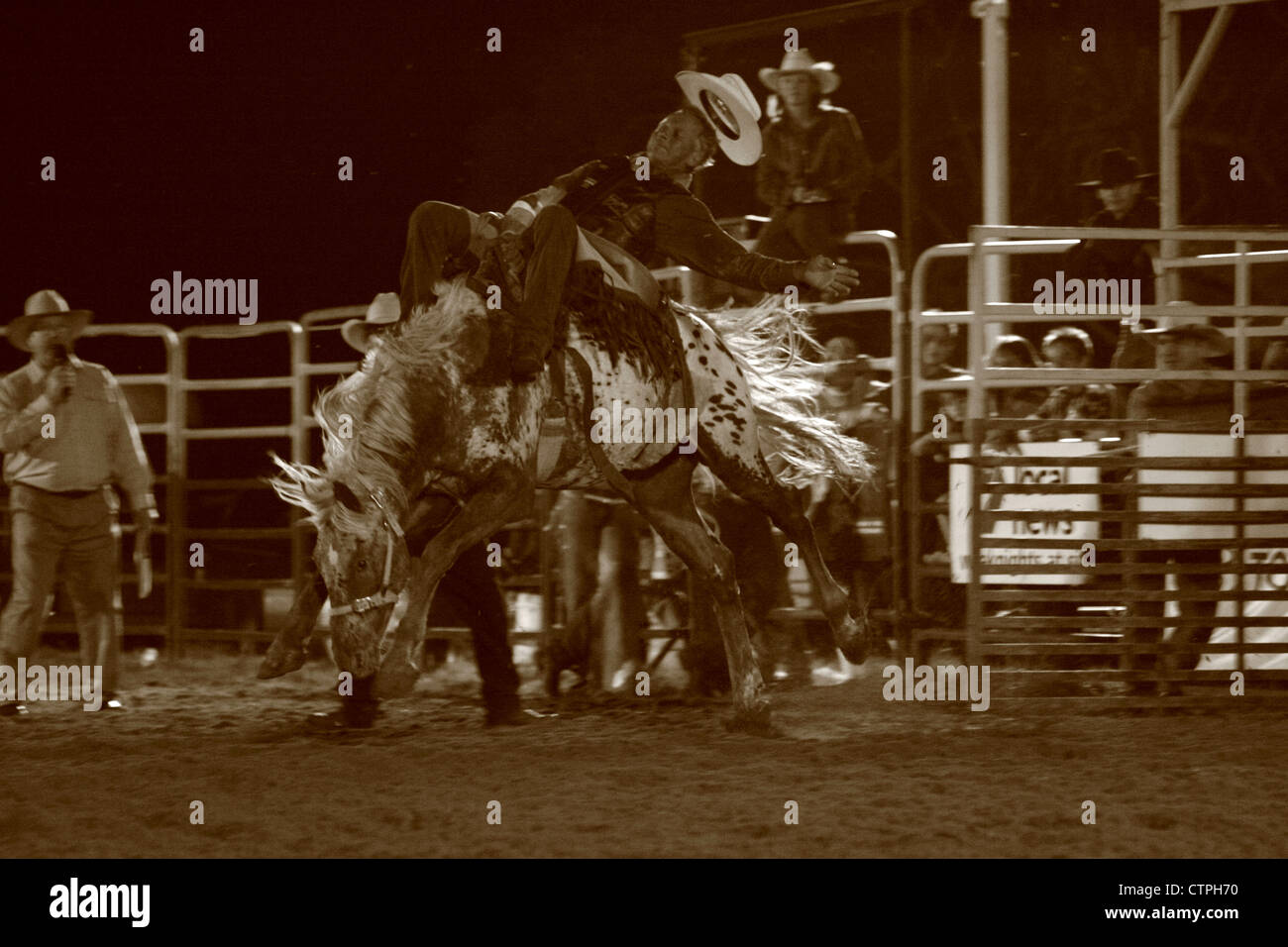 Rodeo scene, Queensland, Australia Stock Photo - Alamy