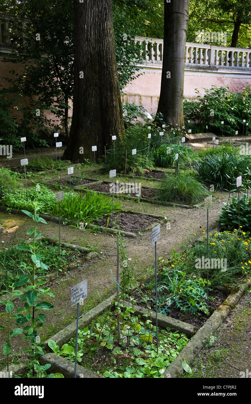 Stone-edged beds contain different families of plants at the Botanic Gardens in Padua, Italy (Orto Botanico di Padova), founded in 1545 Stock Photo