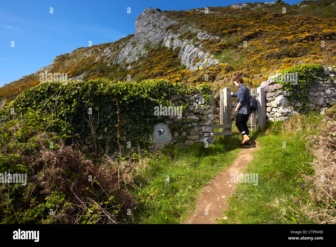 Walker on Gower coastal path at Overton Cliff, Overton Stock Photo Alamy