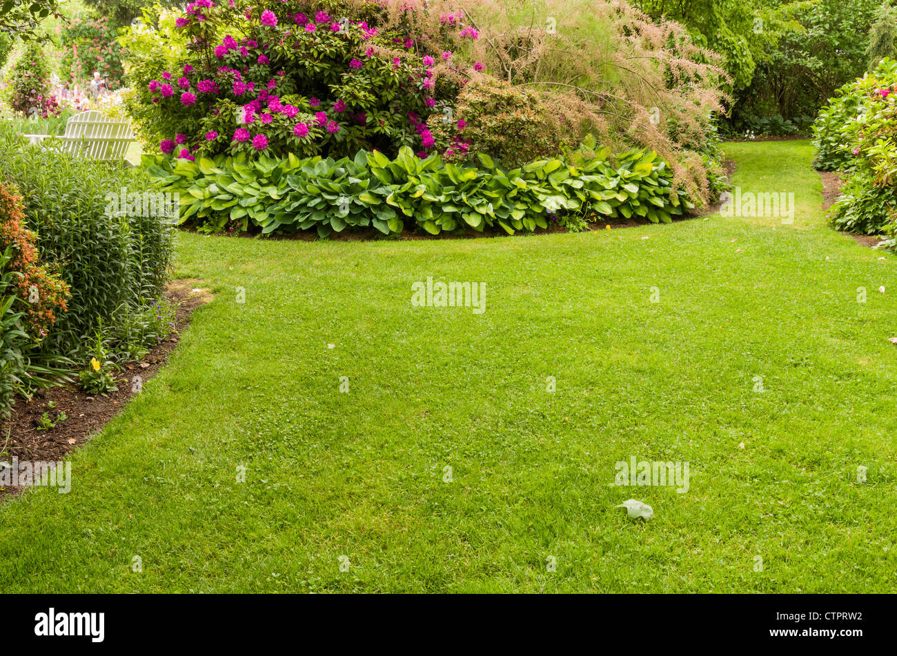 Green lawn with flowering plants and shrubs in the background Stock ...
