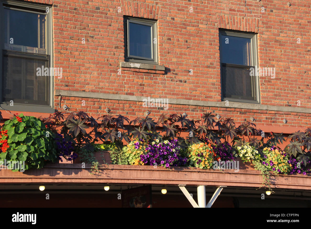 Window flower pots filled with colorful flowers on a ledge Stock Photo Alamy