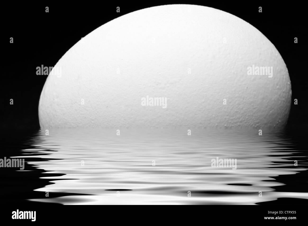 White chicken egg partially submerged in water Stock Photo