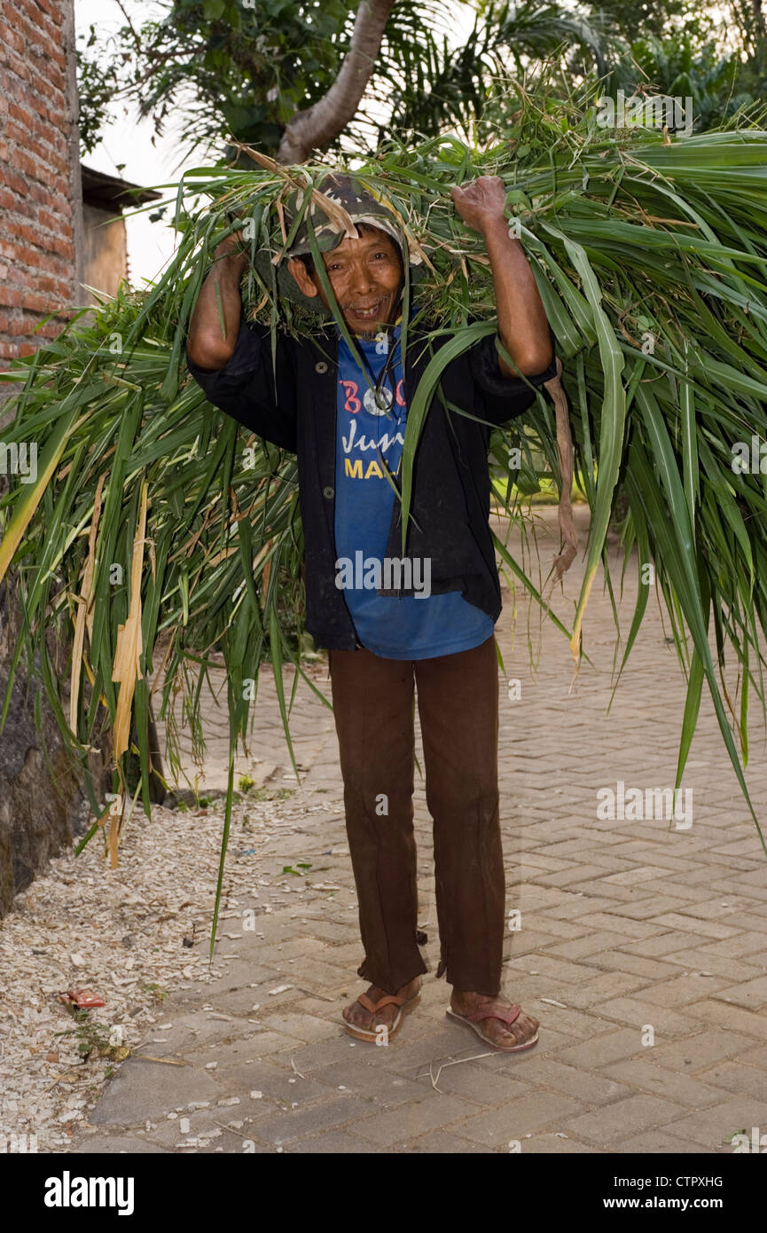 local villager in rural village street with large bundle of cut leaves on his back Stock Photo