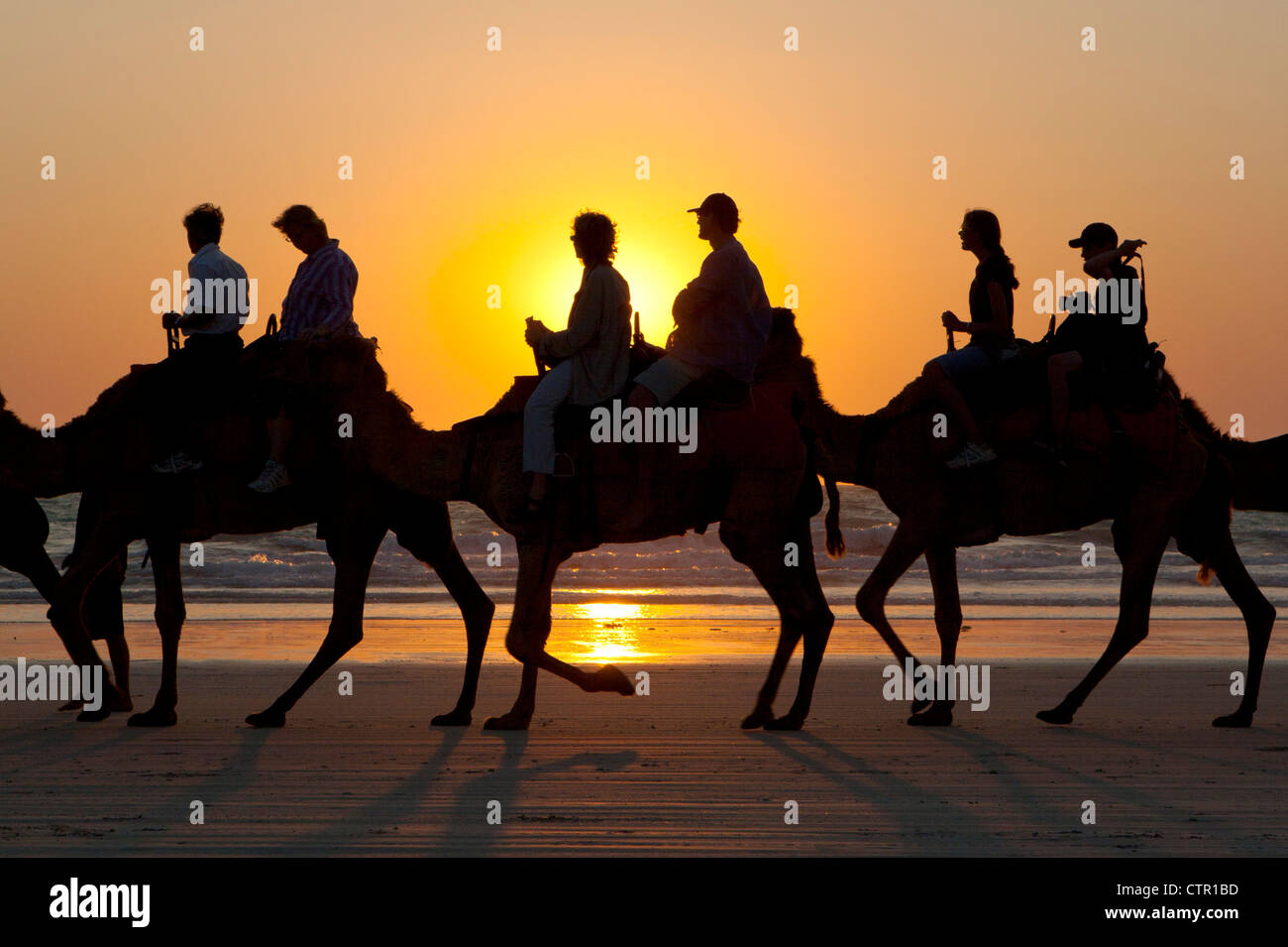 Sunset Camel Ride Sunset camel ride on Cable Beach, Broome, Western Australia, Australia ...