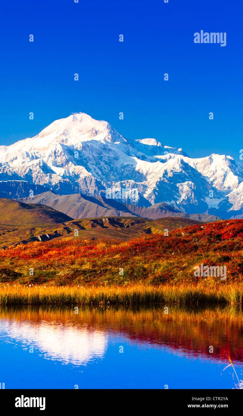 View of Peters Hills reflected in a pond with Mt. McKinley in the background, Denali State Park, Southcentral Alaska, Fall Stock Photo