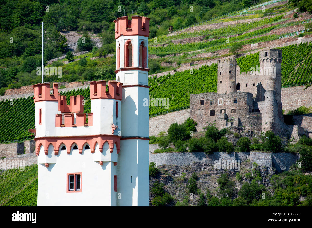 Historic Ehrenfels Castle and Mauseturm or Mouse Tower at Bingen on River Rhine in Germany Stock Photo