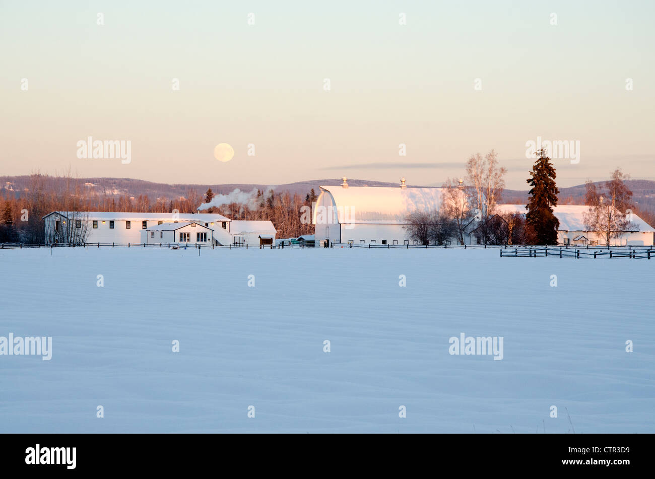 Full moon rises over snowcovered historic buildings former dairy farm Creamer's Field Migratory Waterfowl Refuge Fairbanks Stock Photo