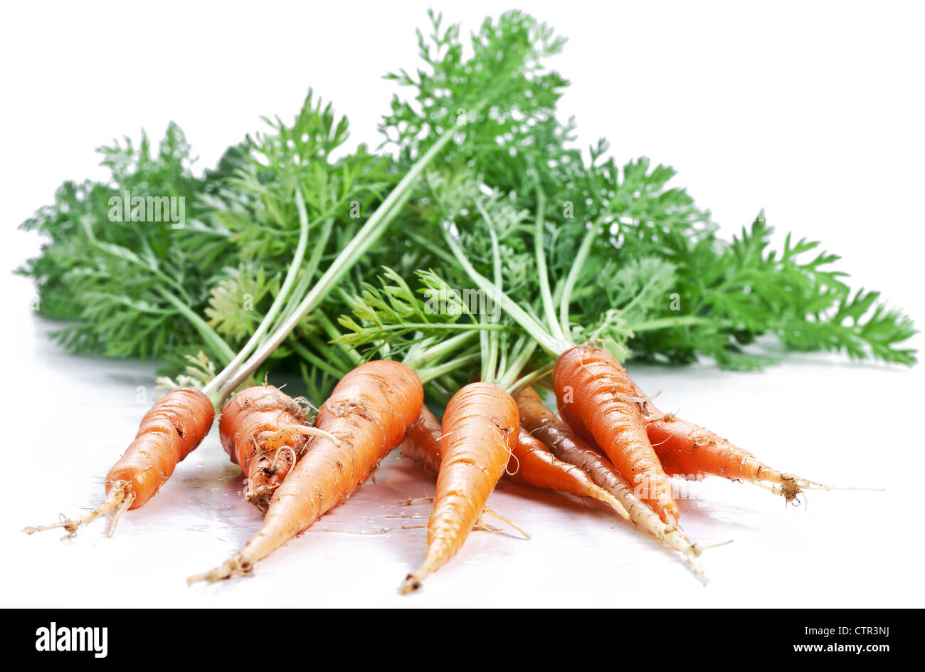 Carrots with leaves on a white background. Stock Photo